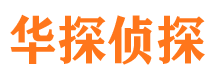 洪山市私家侦探